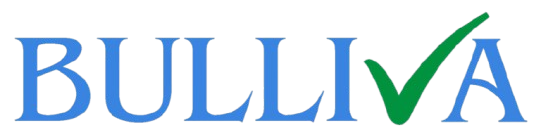 Bulliva Services 